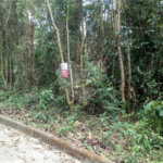 Terreno à venda em Serra da Cantareira, Mairiporã, SP
