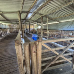 Sítio à venda com 7 alqueires, em Serra do Capetinga, Itapeva - MG