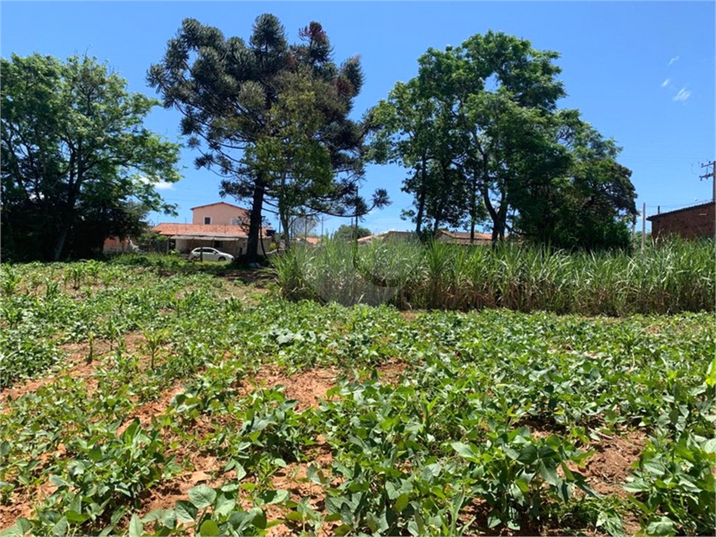 Área de Terra à venda em Cristóvão, Araçoiaba da Serra, SP