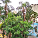 Terreno à venda com 5 quartos em Casa Verde, São Paulo, SP
