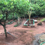Chácara à venda com 2 quartos em Área Rural de Itapetininga, Itapetininga, SP