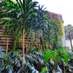 Apartamento à venda com 2 suítes em Cerqueira César, São Paulo, SP