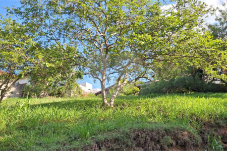 Terreno à venda em Marambaia, Vinhedo, SP