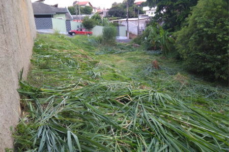 Terreno à venda em Pinheirinho, Vinhedo, SP
