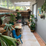 Apartamento à venda com 2 quartos em Freguesia do Ó, São Paulo, SP
