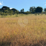 Terreno à venda em Vila Belo Horizonte, Itapetininga, SP