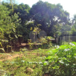 Casa à venda com 4 quartos em Capela, Vinhedo, SP