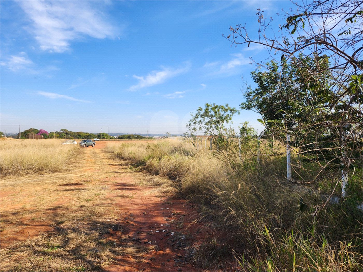 Área de Terra para alugar em Jardim Zavanella, Araraquara, SP