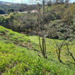 Terreno à venda em Bosque, Vinhedo, SP