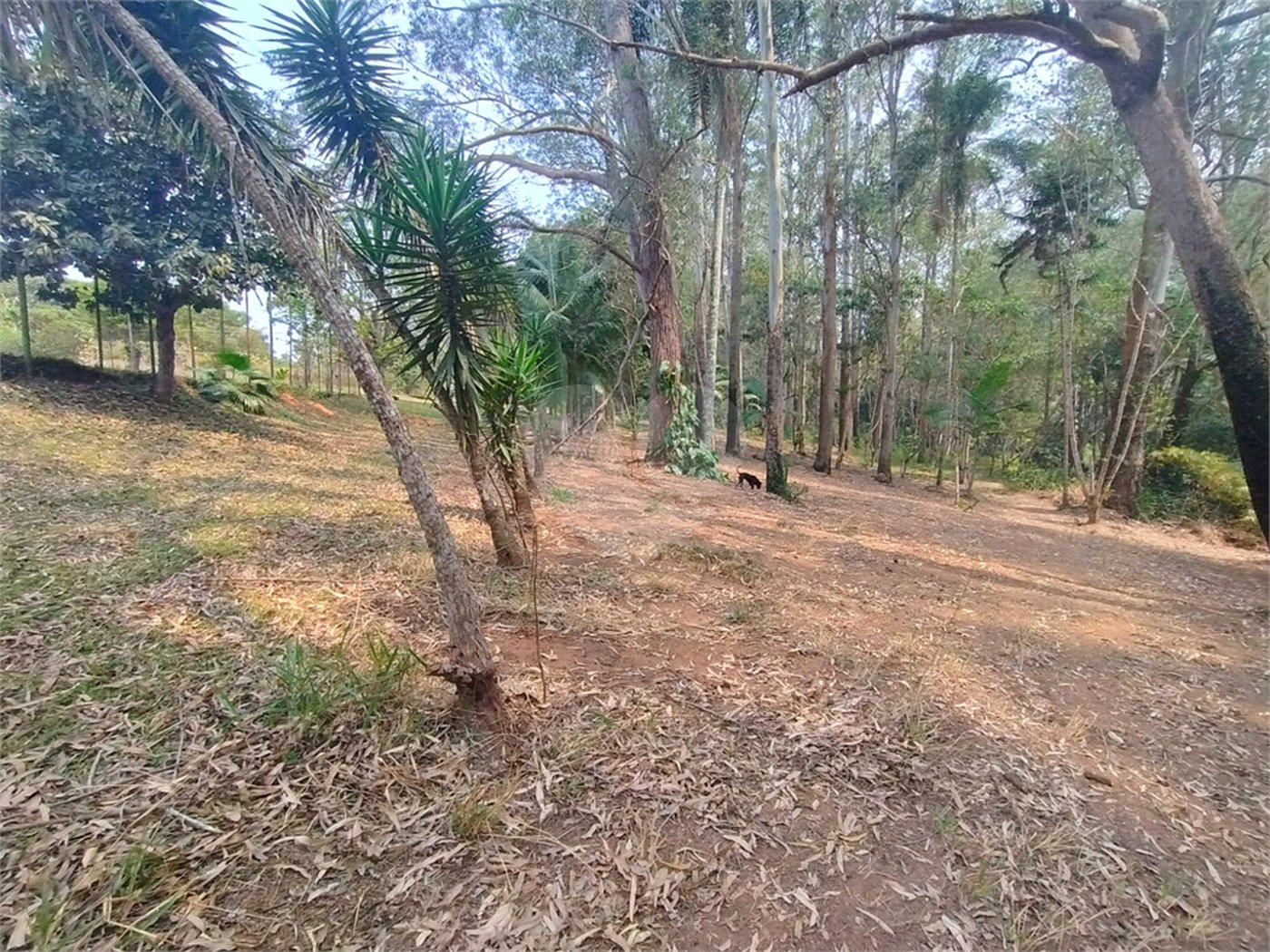 Sítio à venda, 504m² - Ponte Alta Atibaia 48mil² Ref: 1013670