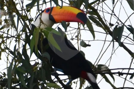 Loteamento à Venda em Itatiba - SP