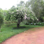 Spa Rural Chácara das Rosas à venda, a apenas 3 km do centro.