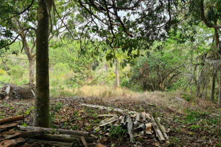 Ribeirão Grande - Bairro ferreira dos Matos - Sítio de 30.000 metros - R$ 600.000,00