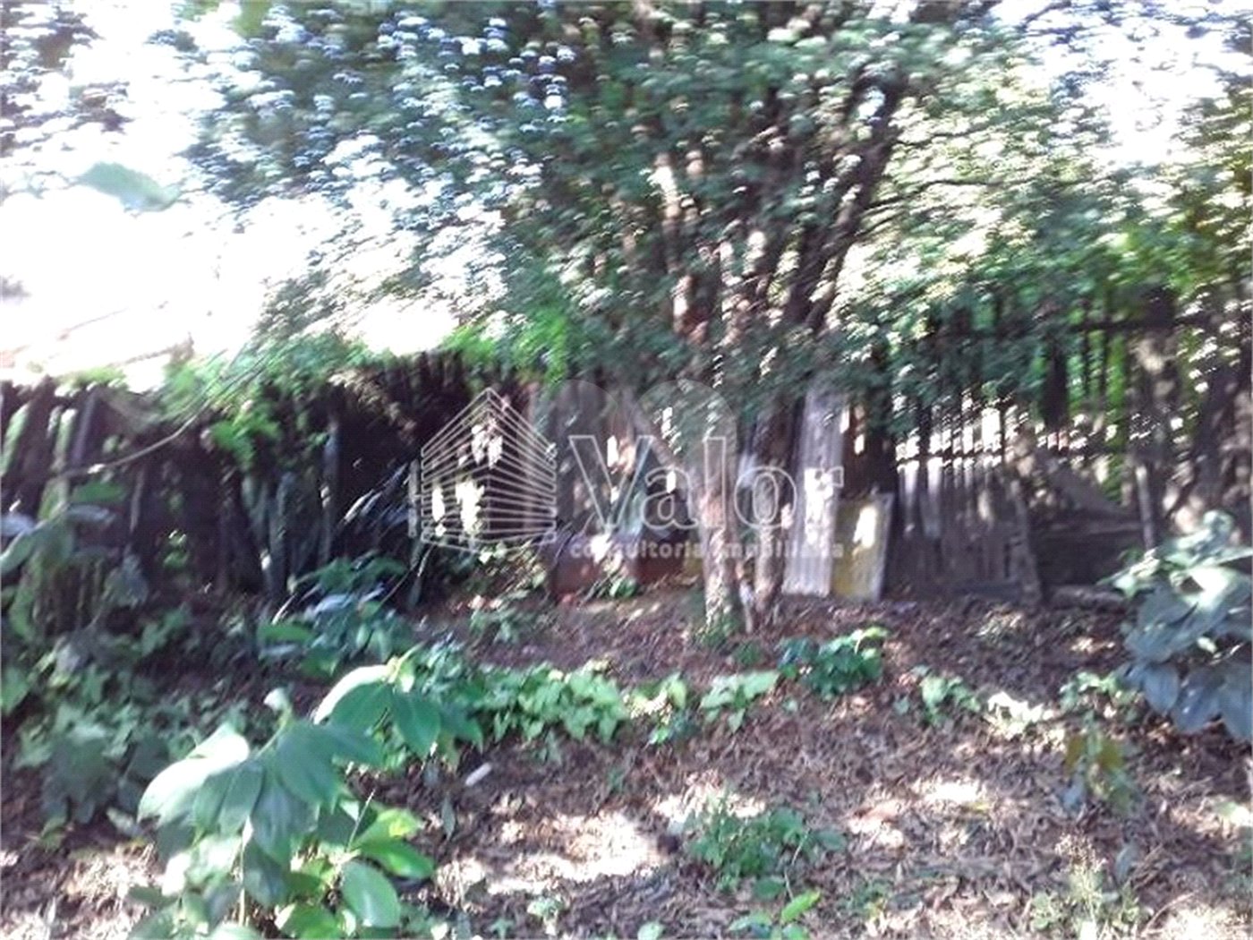Terreno com 850,00 m²