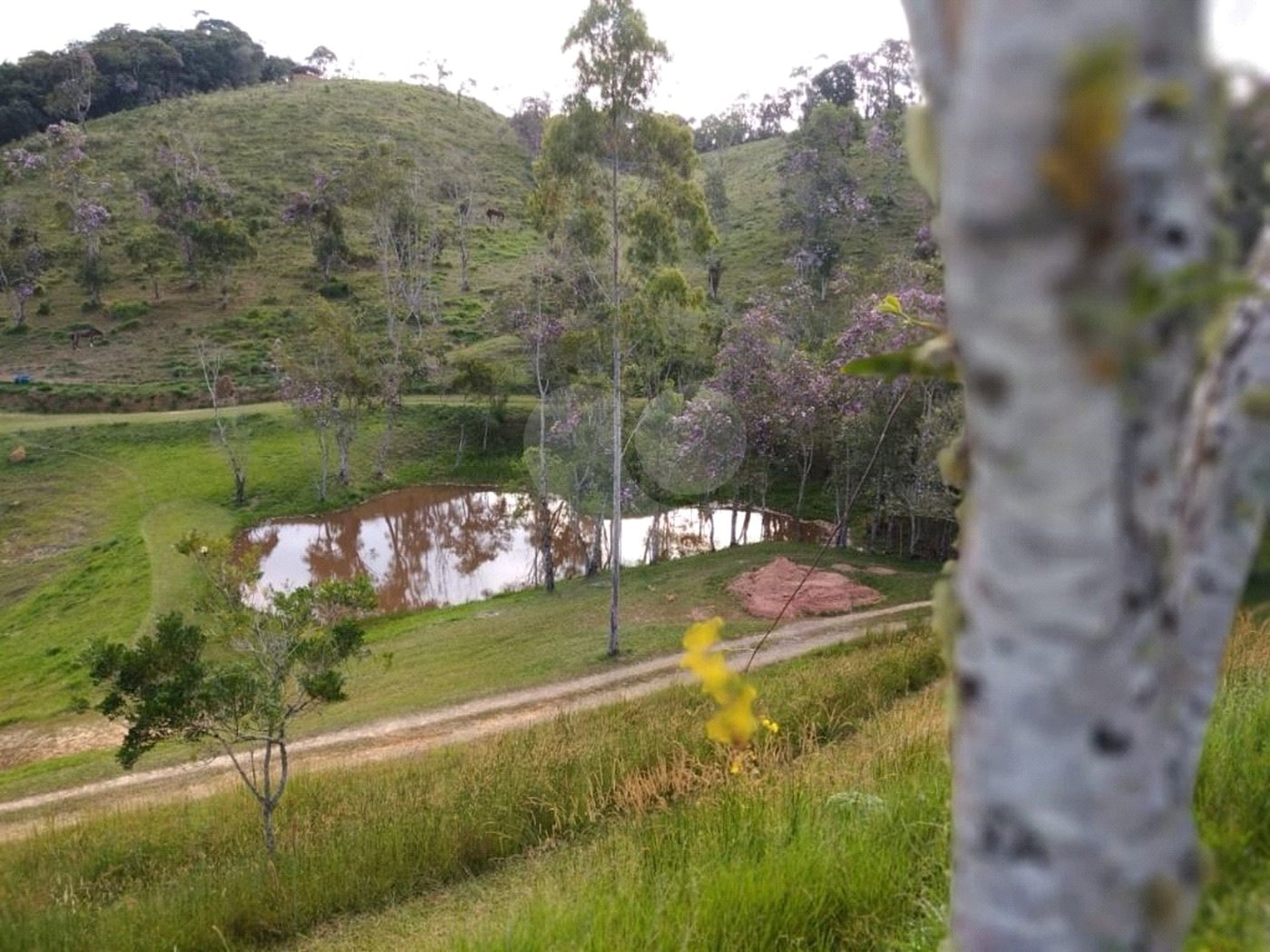 Sítio à Venda Natividade da Serra c/ 2.291,56m² Area Const. e 271.000,00m² Área Total