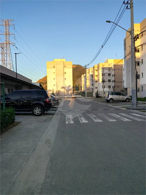 APE NOVINHO EM CACHAMORRA