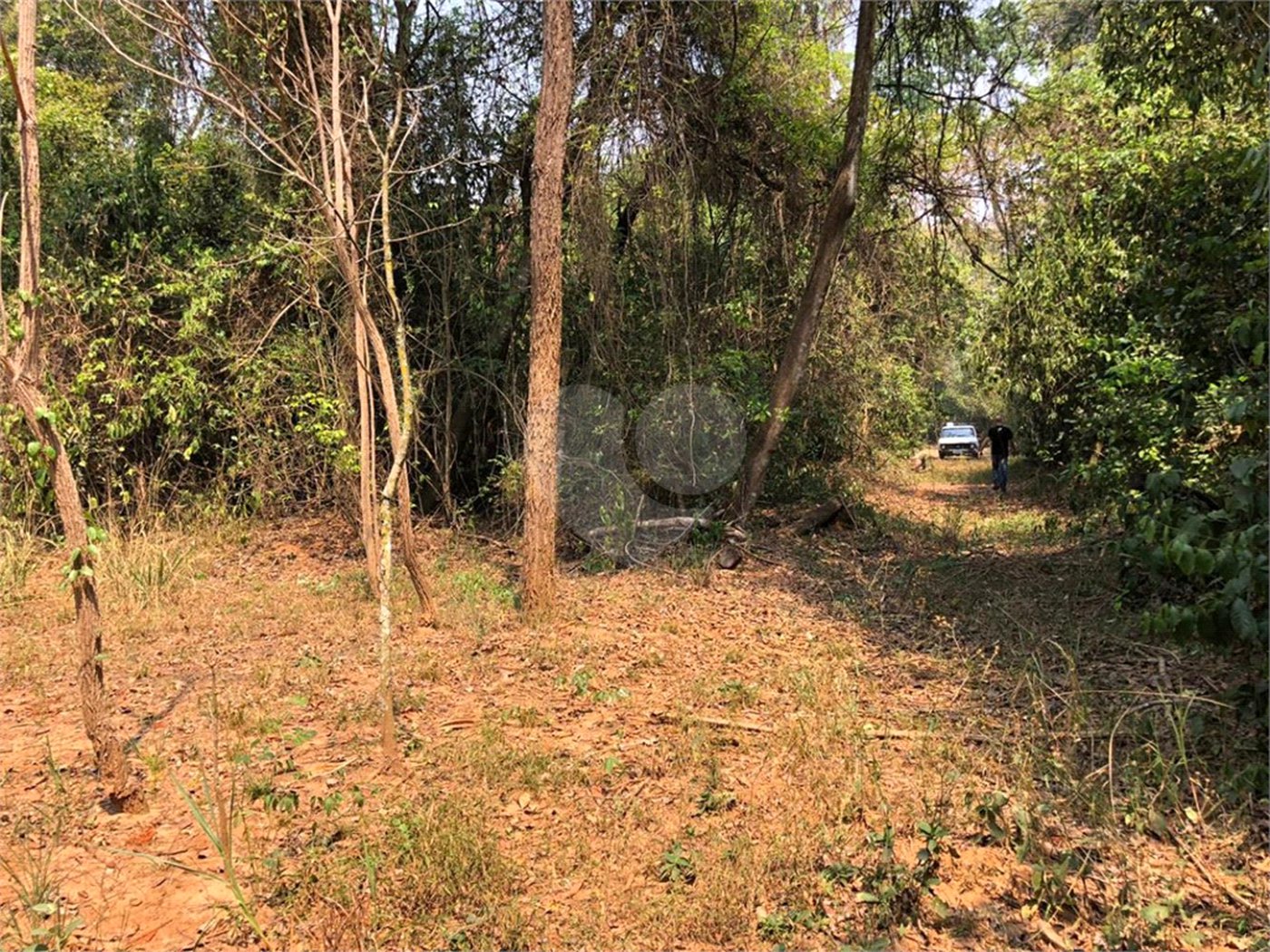 SITIO PARA VENDA COM 13.637 M² EM ARARAQUARA/SP.