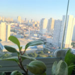 APARTAMENTO A VENDA EM SP BELÉM
