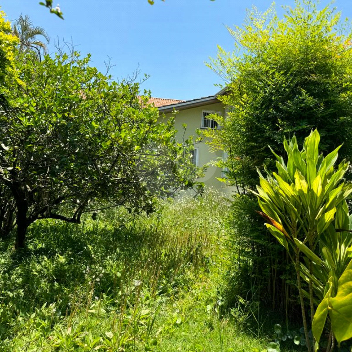 Terreno à venda com 1 quarto em Campo Grande, São Paulo, SP