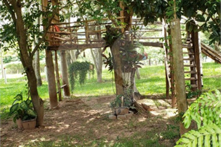 Sitio para venda.