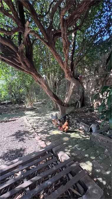 Casa à venda com 4 quartos no Centro, Piracicaba, SP