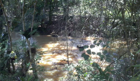 Chácara à venda com 2 quartos em Área Rural de São João da Boa Vista, São João da Boa Vista, SP