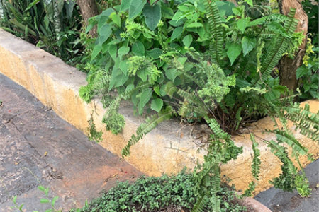 Casa térrea na Vila Boa Vista