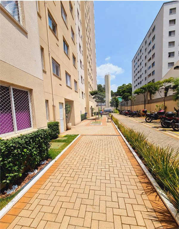 Apartamento - Cambuci - 2 quartos - 1 banheiro - sem vaga