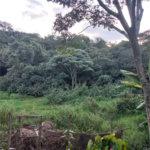 Apartamento para alugar com 2 quartos em Jardim da Glória, Cotia - SP