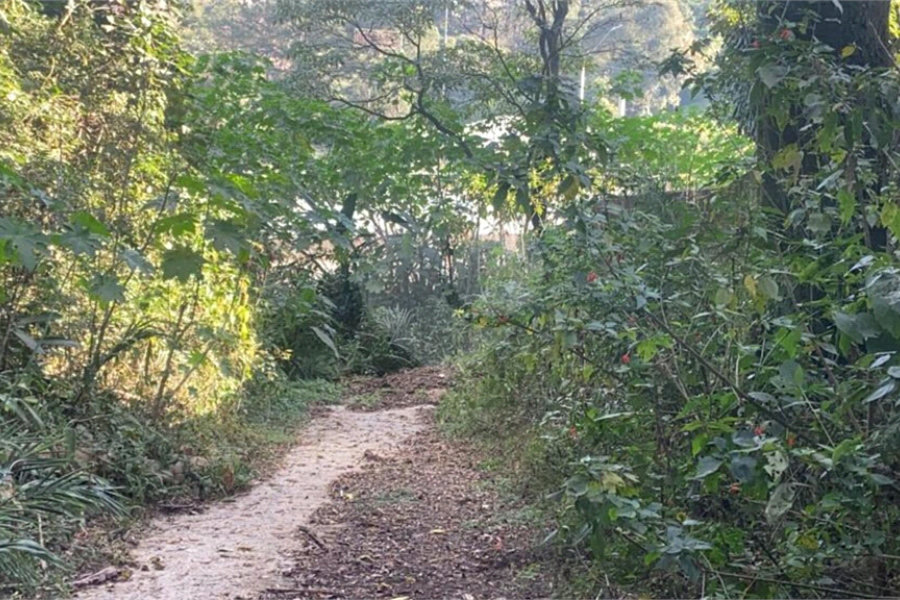 Terreno à venda em Serra da Cantareira, Mairiporã, SP