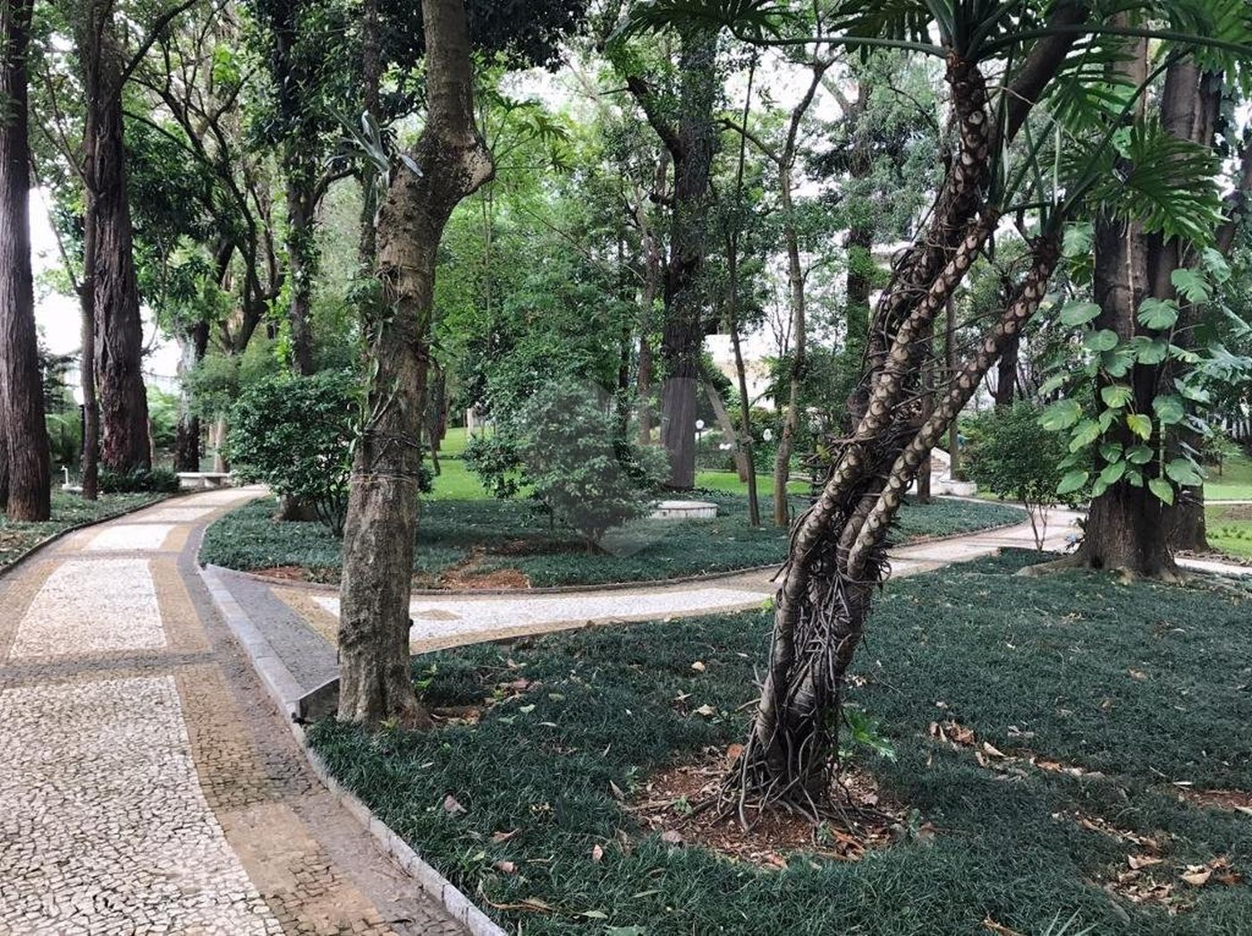 Apartamento à venda com 3 quartos, sendo 2 suítes, em Granja Julieta, São Paulo, SP