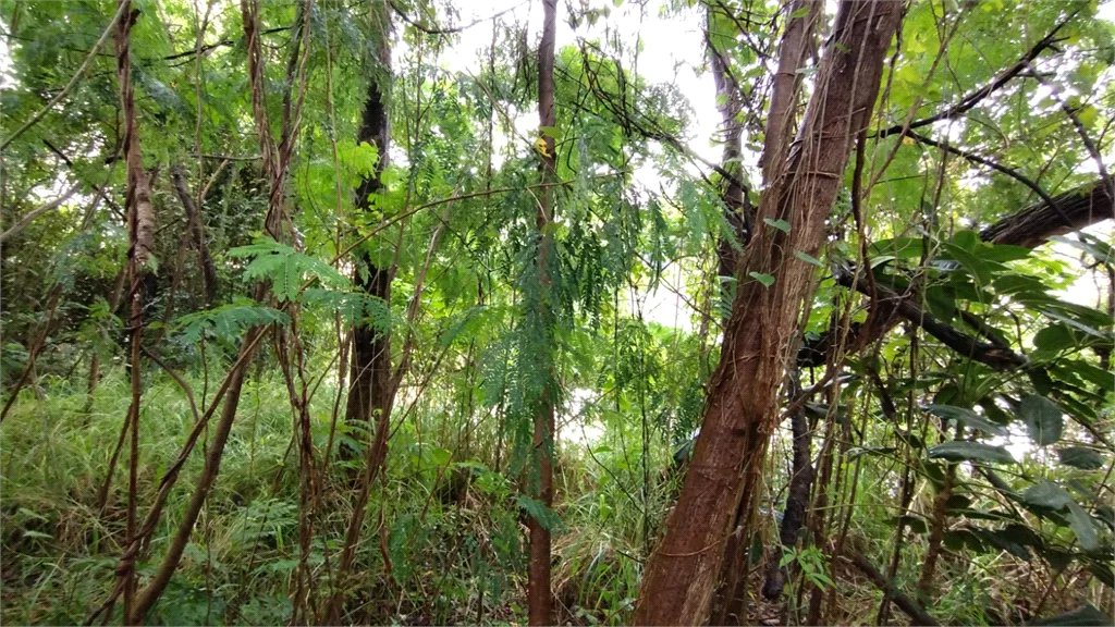 Terreno à venda em Vila Suzana, São Paulo, SP