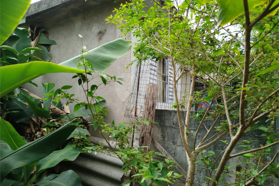 Terreno à venda em Tucuruvi, São Paulo, SP
