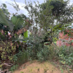 Casa à venda com 1 quarto em Jardim Santa Cruz, Porto Feliz, SP