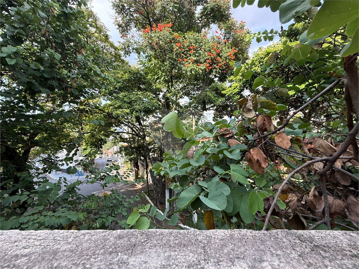 Sobrado à venda com 3 quartos, sendo 1 suíte, em Tucuruvi, São Paulo, SP