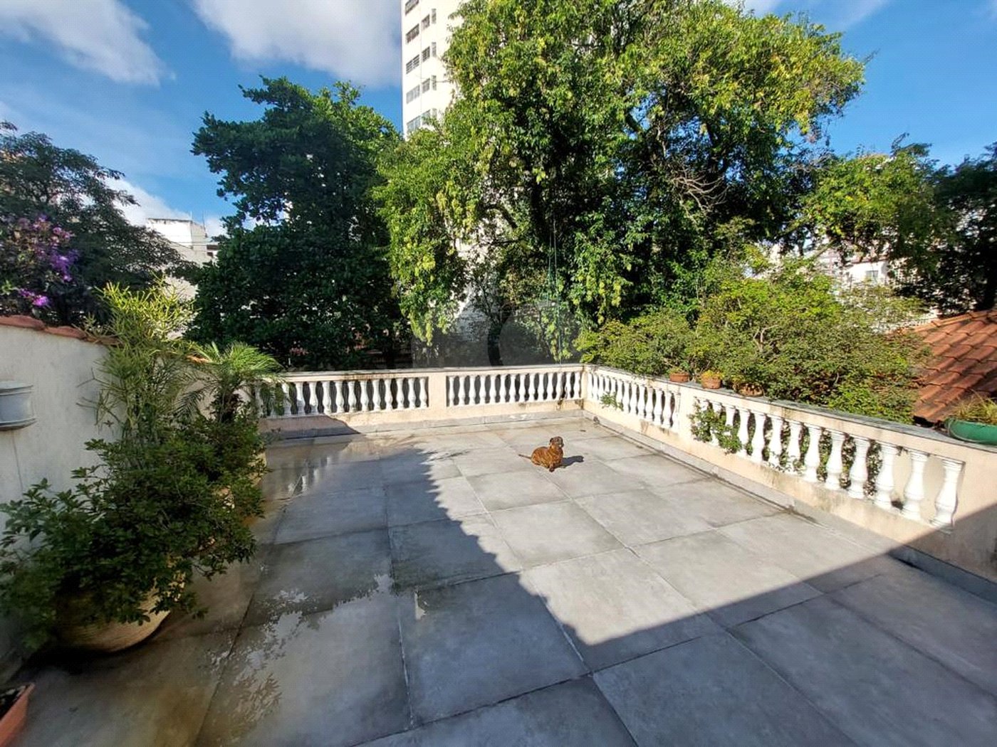 Casa para alugar com 3 quartos em Água Branca, São Paulo, SP