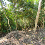 Terreno à venda no condomínio Parque Imperial da Cantareira, Mairiporã - SP