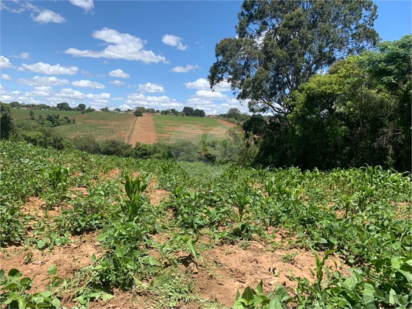 Área de Terra à venda em Cristóvão, Araçoiaba da Serra, SP