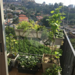 Apartamento à venda com 2 quartos em Vila Progredior, São Paulo, SP
