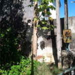 Área de Terra à venda com 1 quarto em Ferreira, São Paulo, SP