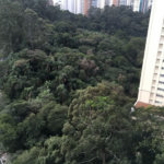 Apartamento à venda com 4 suítes em Paraíso do Morumbi, São Paulo, SP
