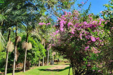 Fazenda à venda com 3 quartos em Cachoeirinha, Bom Jesus dos Perdões, SP