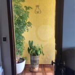 Sobrado à venda com 3 suítes em Jardim Vila Galvão, Guarulhos, SP