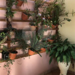 Casa Térrea no Condomínio Vila Pinhal Do Broa
