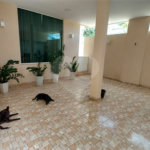 Casa à venda com 4 quartos, sendo 2 suítes, no condomínio Vivendas do Mendanha, Rio de Janeiro - RJ