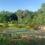 Casa à venda com 4 quartos, sendo 3 suítes, no condomínio Jardim Reserva Bom Viver de Indaiatuba, Indaiatuba - SP