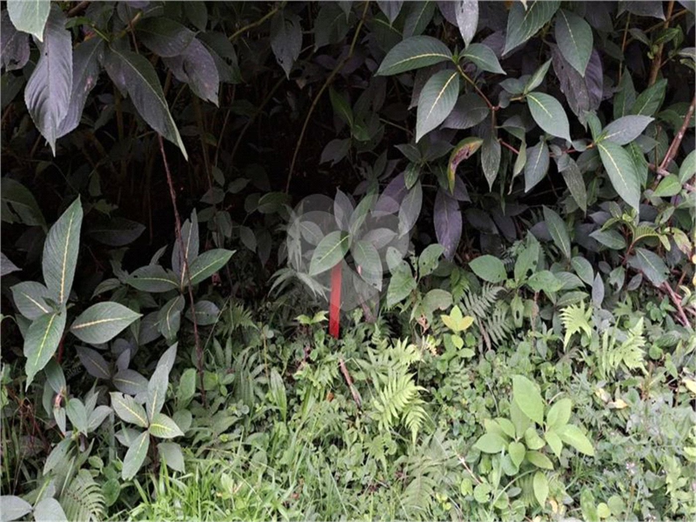 Terreno à venda no condomínio Parque Suiça, Caieiras - SP