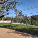 Terreno à venda em Chácaras São Bento, Valinhos, SP