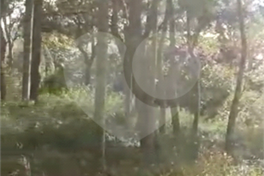 Terreno à venda em Luiz Fagundes, Mairiporã, SP