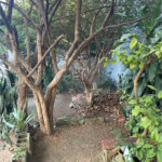 Terreno à venda em Tucuruvi, São Paulo, SP